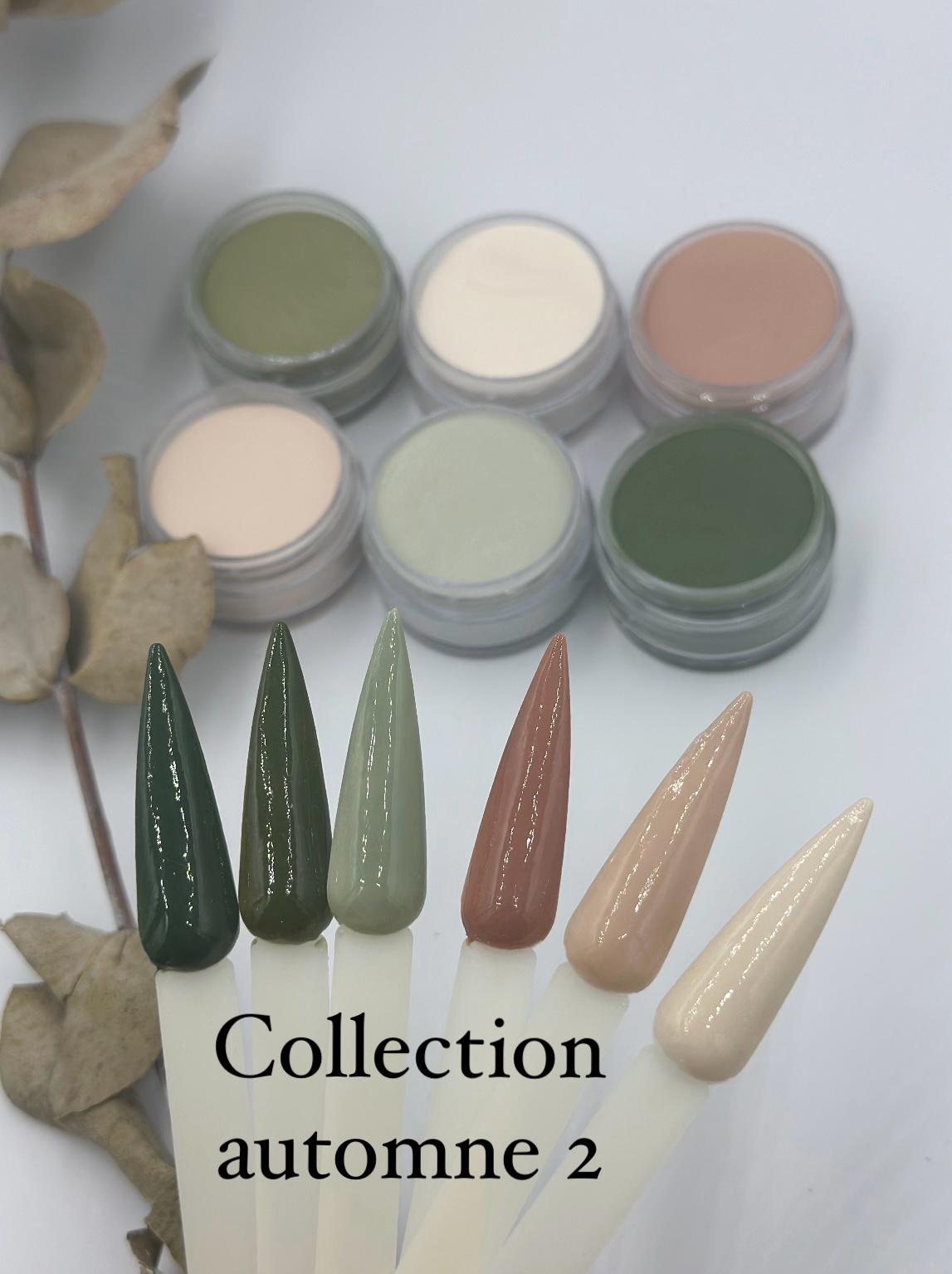 Poudres et résines professionnelles Collection Automne 2 pour manucure