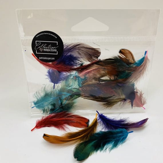 Plumes Décoratives – Nail Art