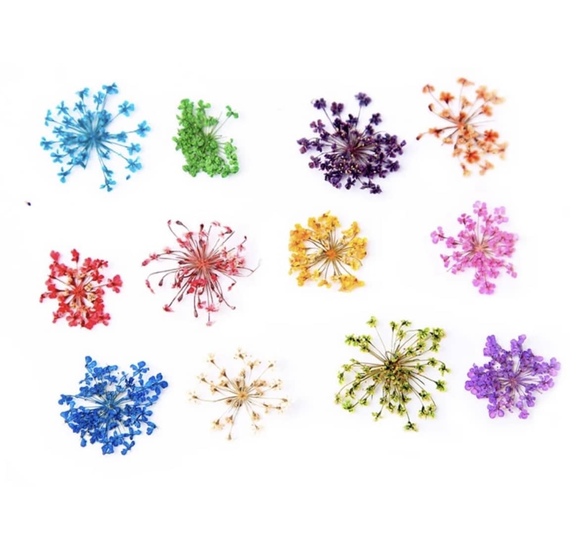 fleurs sèches décoration ongles. Nail art