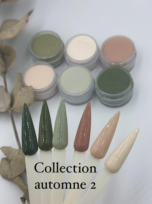 Poudres et résines professionnelles Collection Automne 2 pour manucure